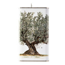 Carica l'immagine nel visualizzatore di Gallery, Olio EVO Selezione "Le Ginestre" 3 lt - Pasqualone Azienda Agricola